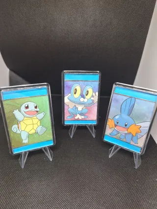 Calamite Pokemon