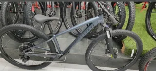 Bicicleta de Montaña Gris especialize
