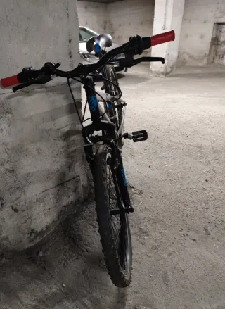 Bicicleta chico