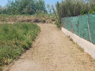 Terreno rústico
