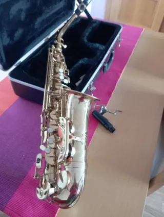 Saxofón Palatino