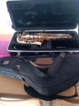 Saxofón Palatino