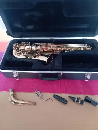 Saxofón Palatino