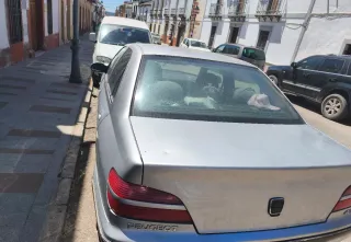 Peugeot 406 año 2004