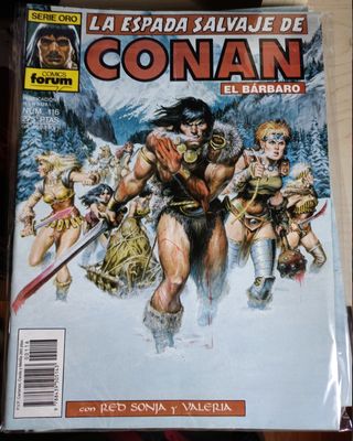 Lote 17 cómics 'La espada salvaje de Conan'