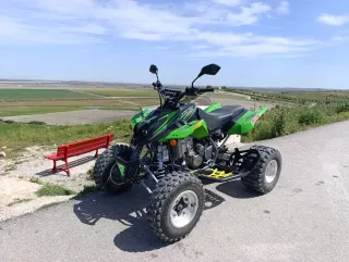 Quad Arctic Cat DVX 400cc - Trebujena Cádiz ITV