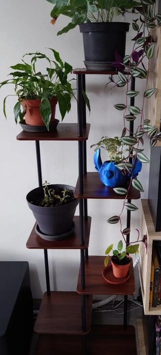 Estantería plantas madera roble alta