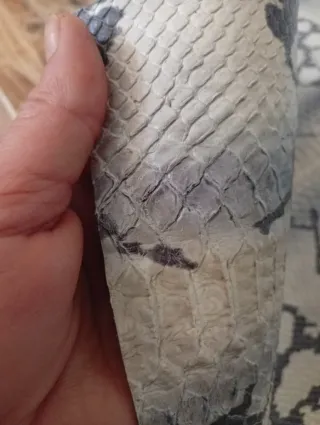 Piel de serpiente retal