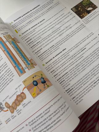 Biología, Geología y Ciencias Ambientales 1.º B...