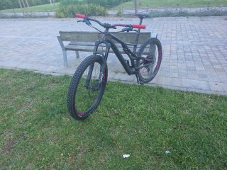 Specialized Stumpjumper Evo Carbon 29