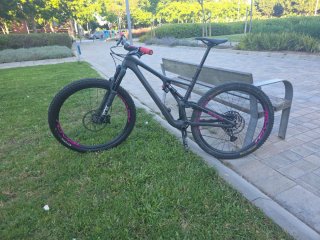 Specialized Stumpjumper Evo Carbon 29