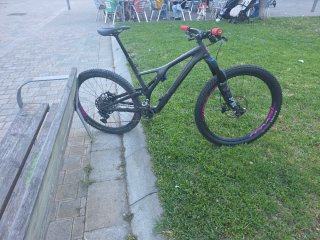 Specialized Stumpjumper Evo Carbon 29