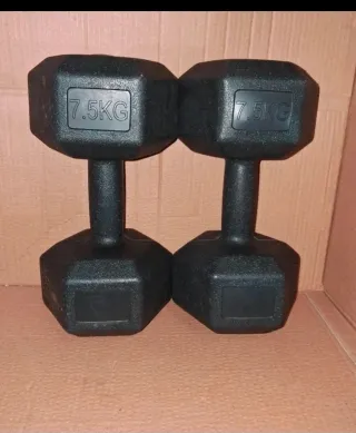 Manubri da 7,5 kg (coppia)