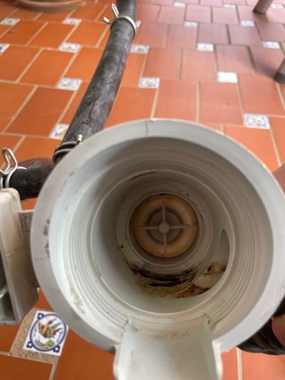 Bomba desagüe lavadora Miele