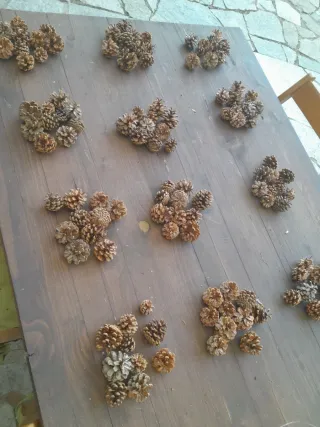 120 Pigne Piccole Naturali