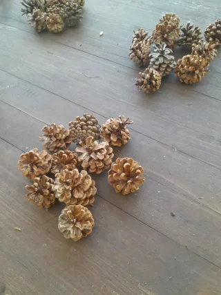 120 Pigne Piccole Naturali
