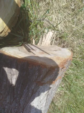 Regalo leña para chimenea