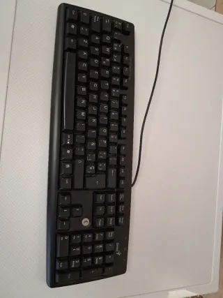 Teclado Genius Negro Ordenador