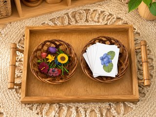 Flores do Mundo - Montessori