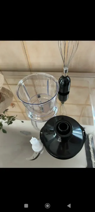 Frullatore ad immersione e frusta