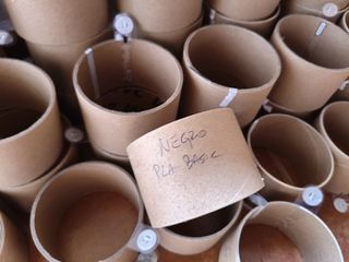 NFC de BambuLab filamentos