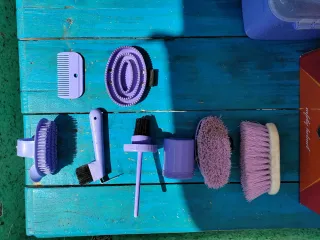 Set de limpieza para caballos y botas de montar