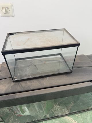 3 Peceras de cristal.