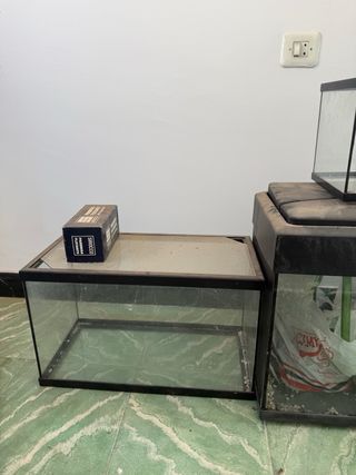 3 Peceras de cristal.