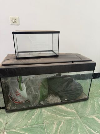 3 Peceras de cristal.