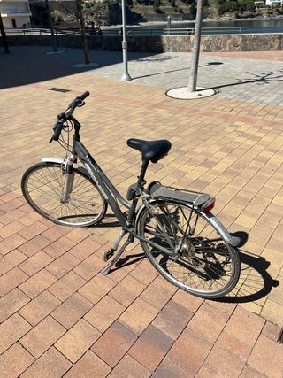 Bicicleta Gris Paseo