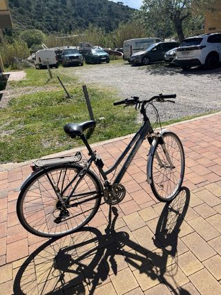 Bicicleta Gris Paseo