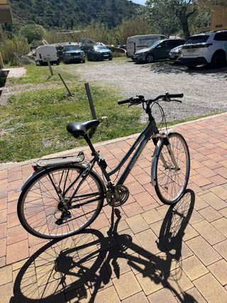 Bicicleta Gris Paseo