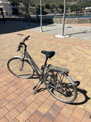 Bicicleta Gris Paseo