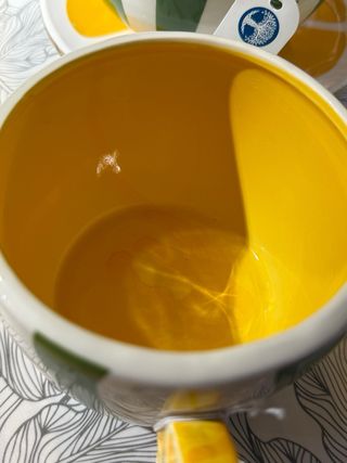 Taza cerámica Limoncello