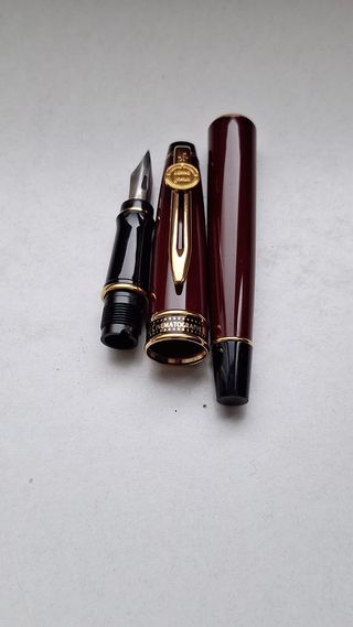 Penna Stilografica Waterman Cinematographe