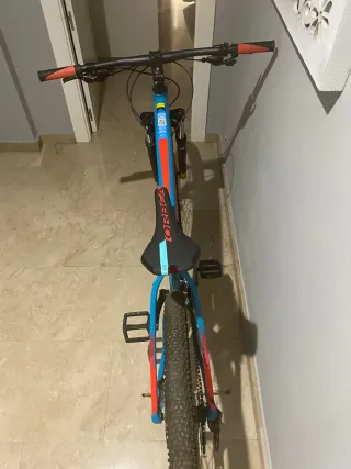Orbea MX 29 50 T.L