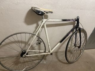 Cuadro GAC FASSER