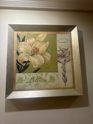 Lote 2 cuadros florales mas mesa de centro madera