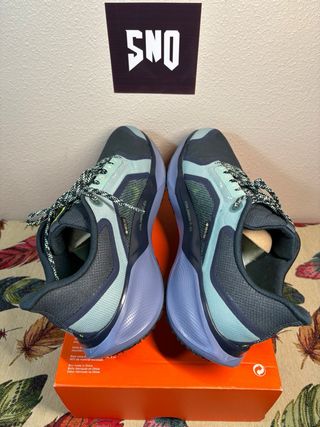 NIKE PEGASUS 41 GTX T47