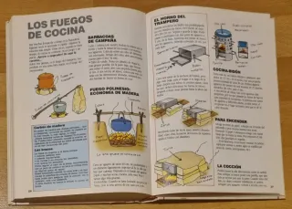 Tú colega del bosque