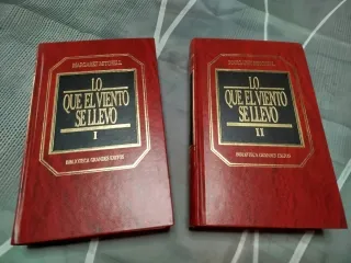Libro de lo que el viento se llevó, en dos tomos