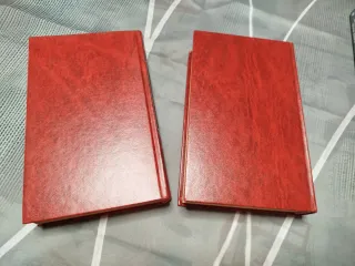 Libro de lo que el viento se llevó, en dos tomos