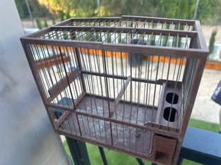 Jaula mediana para pájaros y jaula para caverneras