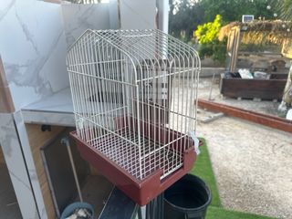 Jaula mediana para pájaros y jaula para caverneras