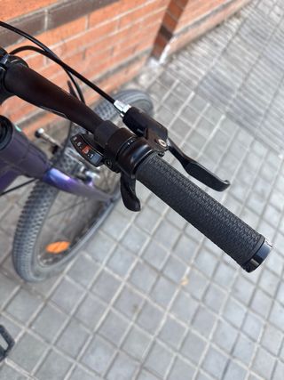 Bicicleta Infantil Trek Wahoo 24