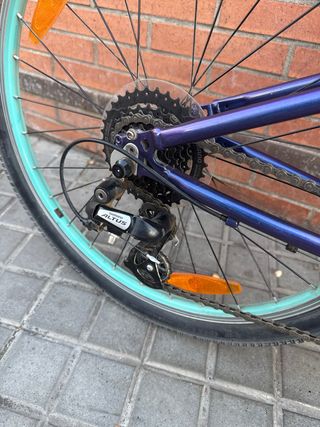 Bicicleta Infantil Trek Wahoo 24