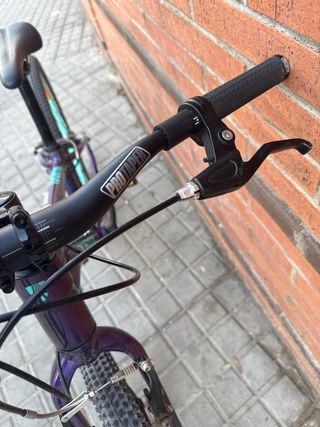Bicicleta Infantil Trek Wahoo 24