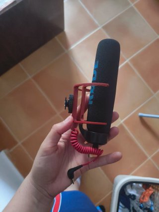 Estabilizador de cámara Rode + Micrófono