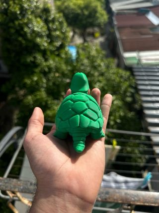 Tartaruga "Surpresa" 3D - Design Exclusivo - Funny