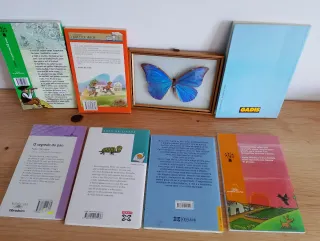 Lote de 7 libros infantiles en gallego buen estado